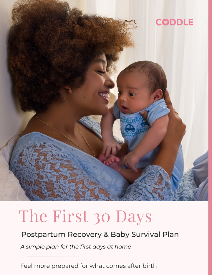 The First 30 Days: Postpartum Recovery & Baby Survival Plan