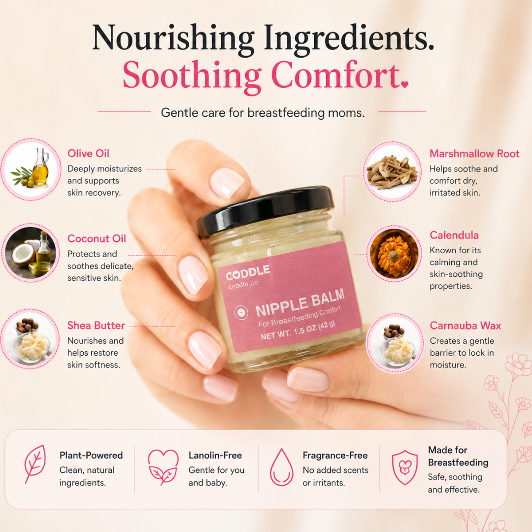 Hands holding a jar of CODDLE Nipple Balm surrounded by nourishing ingredient callouts including olive oil, coconut oil, shea butter, marshmallow root, calendula, and carnauba wax for breastfeeding comfort.
