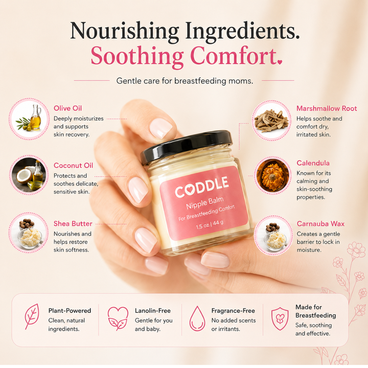 Hands holding a jar of CODDLE Nipple Balm surrounded by nourishing ingredient callouts including olive oil, coconut oil, shea butter, marshmallow root, calendula, and carnauba wax for breastfeeding comfort.