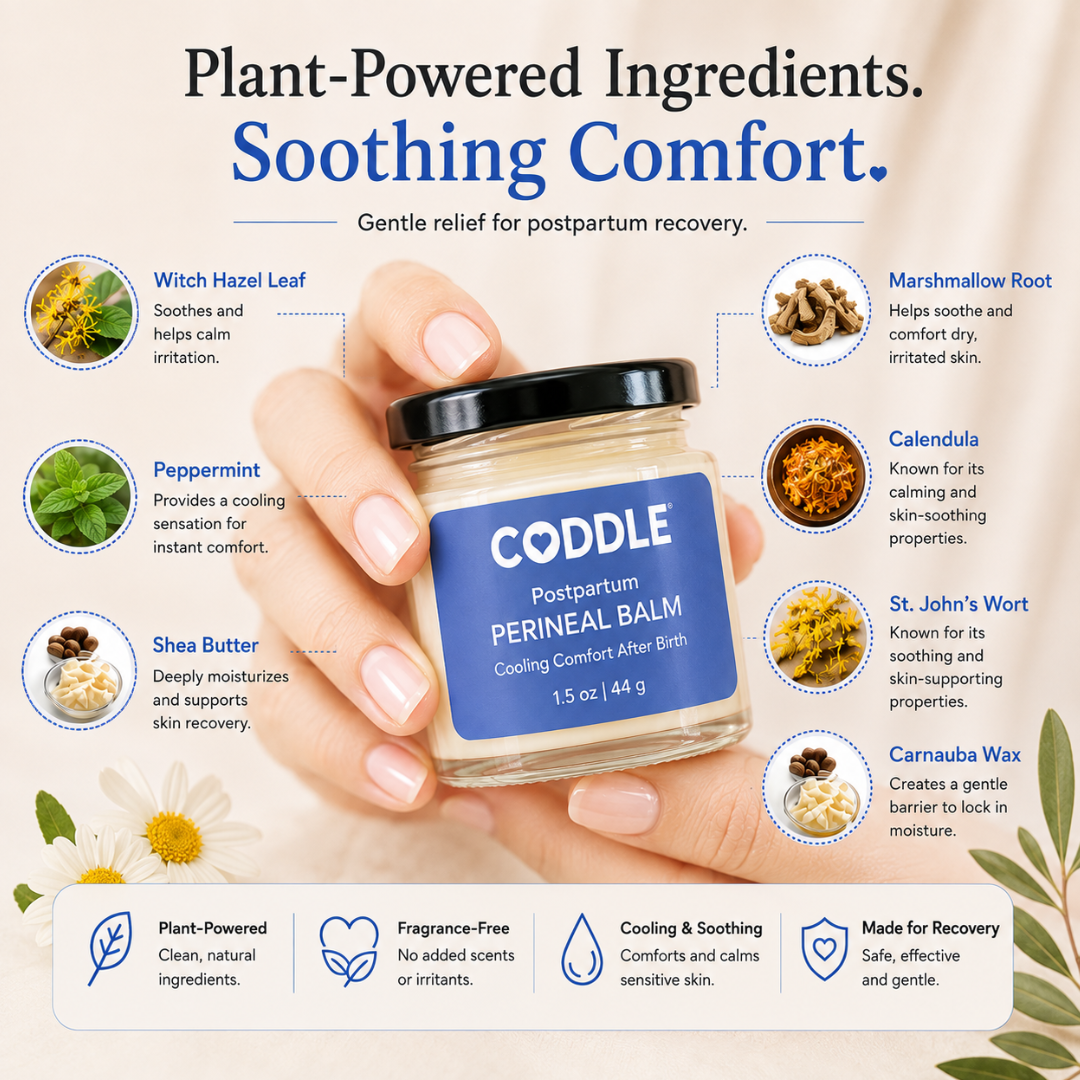 Hands holding a jar of CODDLE Postpartum Perineal Balm with ingredient callouts for witch hazel leaf, peppermint, shea butter, marshmallow root, calendula, St. John's wort, and carnauba wax, highlighting soothing postpartum recovery benefits.