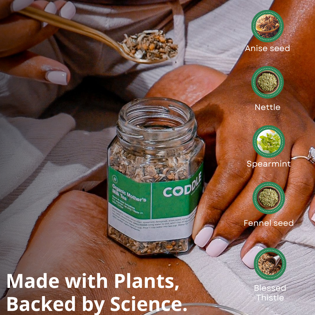 Herbal ingredients used in mother's milk tea including fennel, nettle, spearmint, anise seed and blessed thistle.