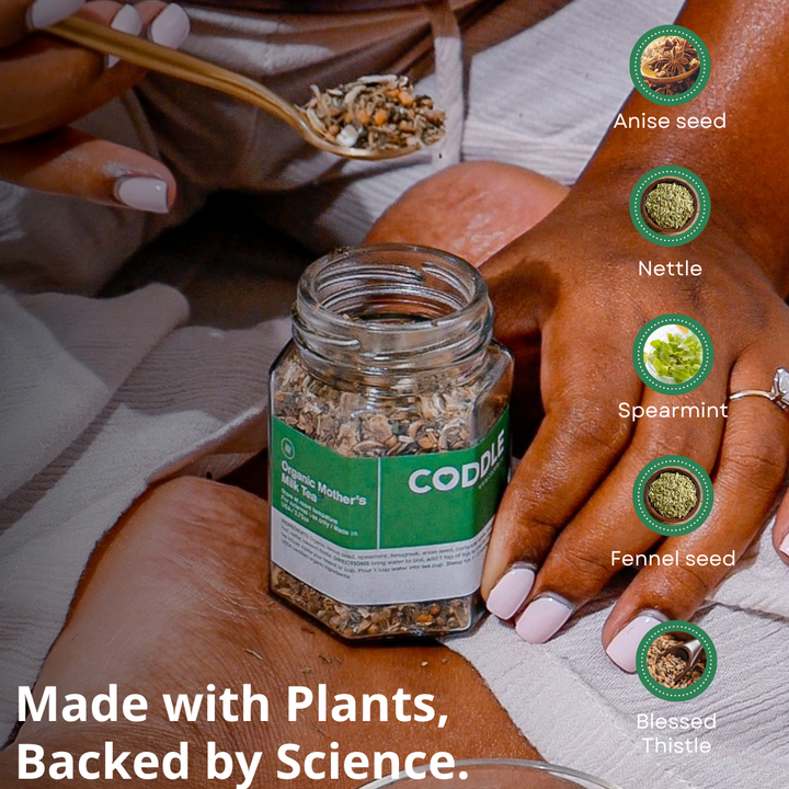 Herbal ingredients used in mother's milk tea including fennel, nettle, spearmint, anise seed and blessed thistle.