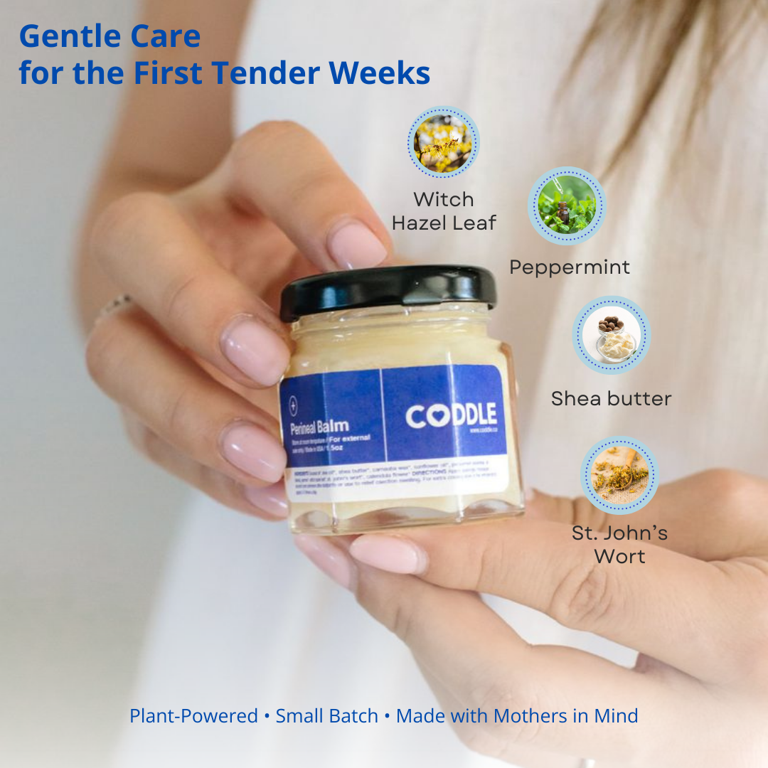 Hands holding botanical postpartum perineal balm with ingredient callouts including witch hazel, peppermint, shea butter, and St. John’s wort for gentle recovery care after birth.