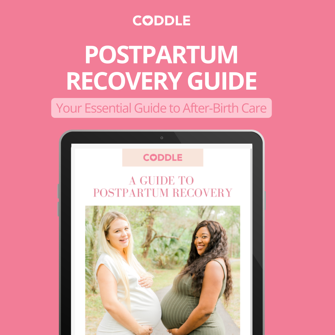 Postpartum recovery guide ebook helping new moms understand healing and care after birth
