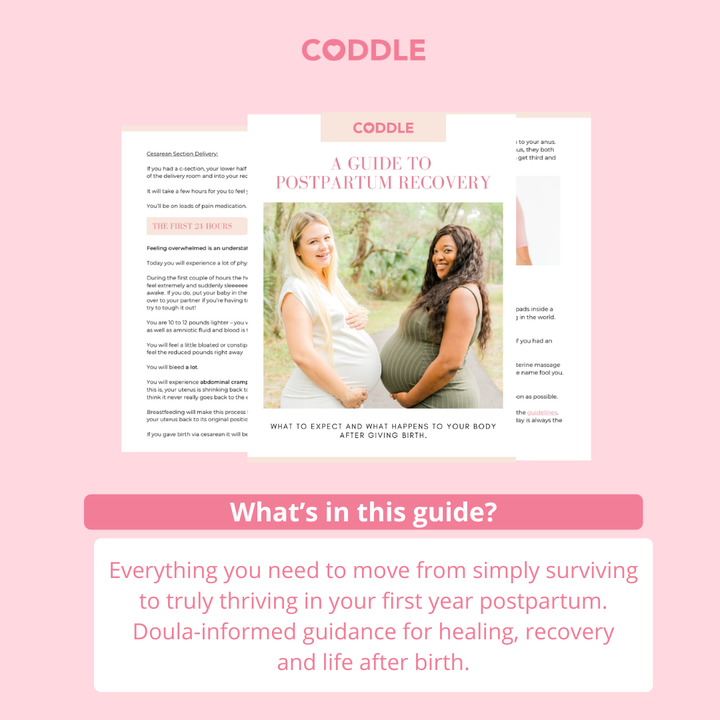 Postpartum recovery guide ebook preview showing doula-informed guidance for healing and recovery after birth.