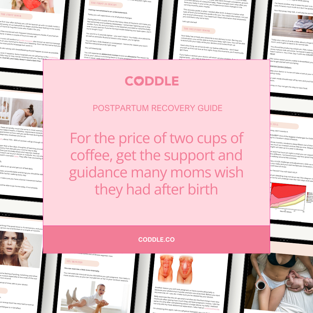 Postpartum recovery guide ebook preview showing doula-informed guidance for healing and recovery after birth